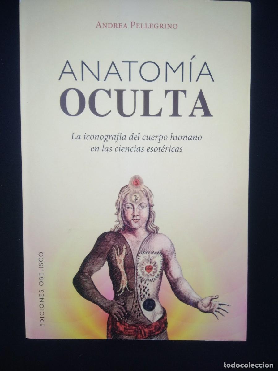Libros de segunda mano: Libro Anatomia Oculta-Andrea Pellegrino - Foto 1