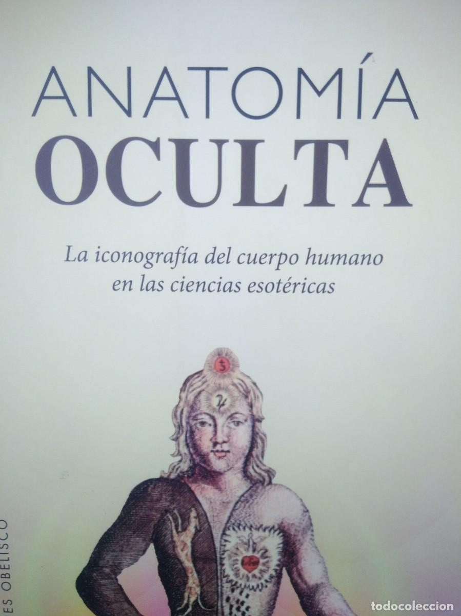 Libros de segunda mano: Libro Anatomia Oculta-Andrea Pellegrino - Foto 2