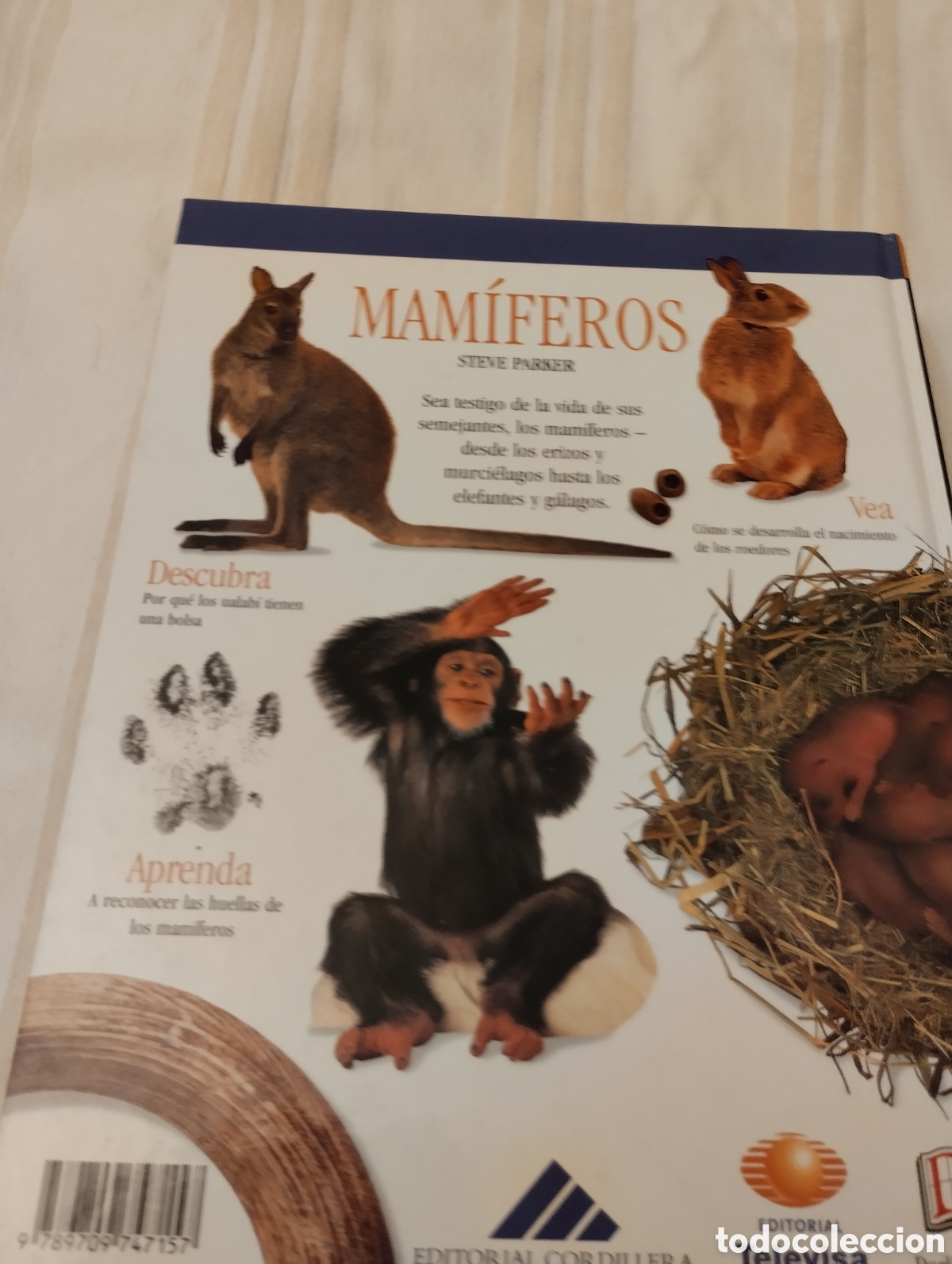 Libros de segunda mano: Vida de los animales .Editorial Televisa - Foto 2