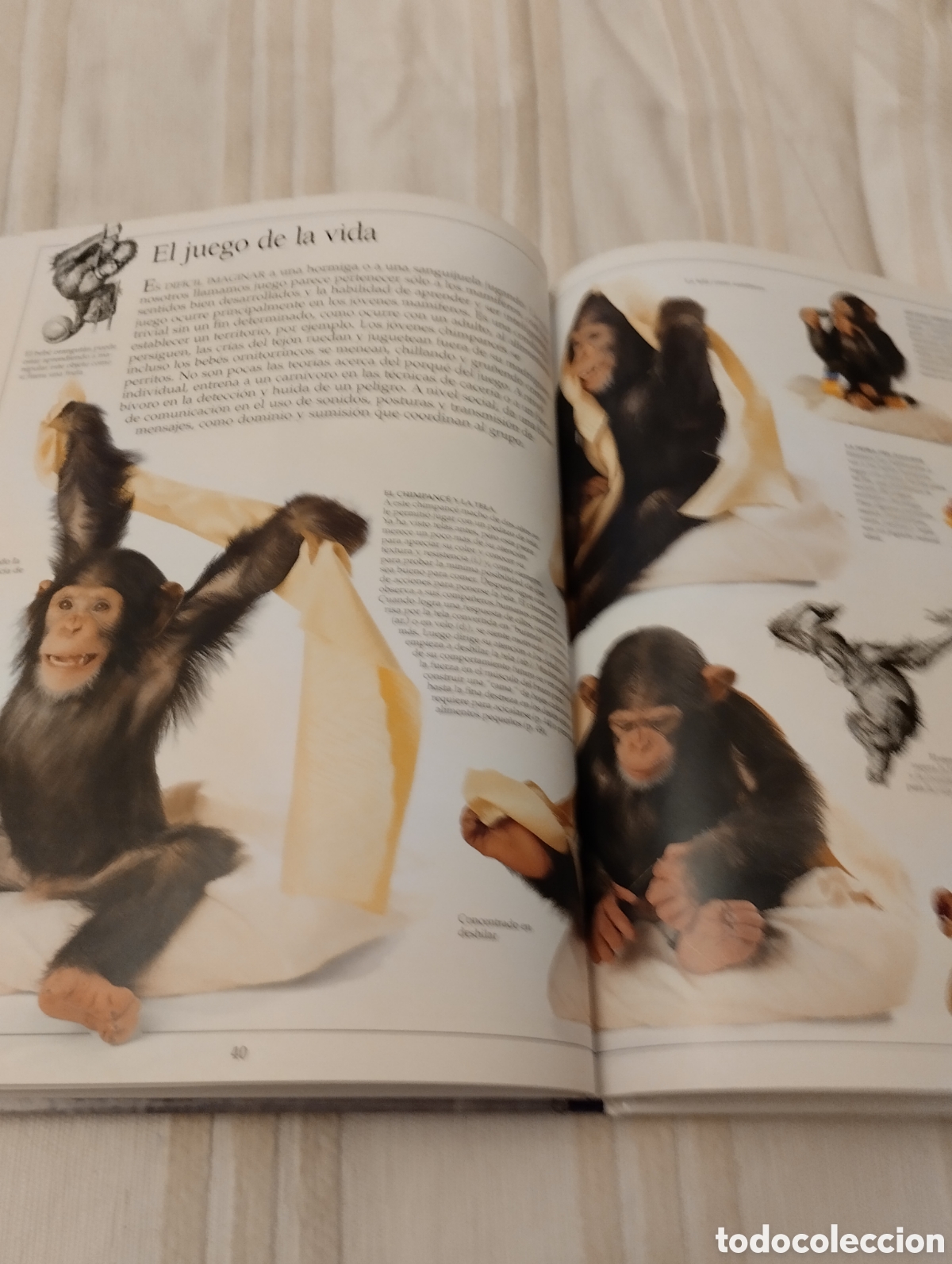 Libros de segunda mano: Vida de los animales .Editorial Televisa - Foto 3