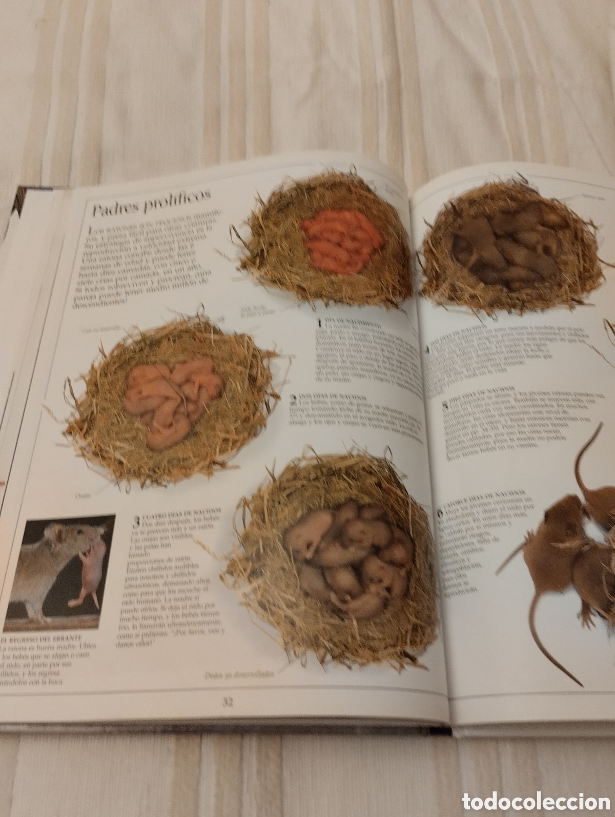Libros de segunda mano: Vida de los animales .Editorial Televisa - Foto 4
