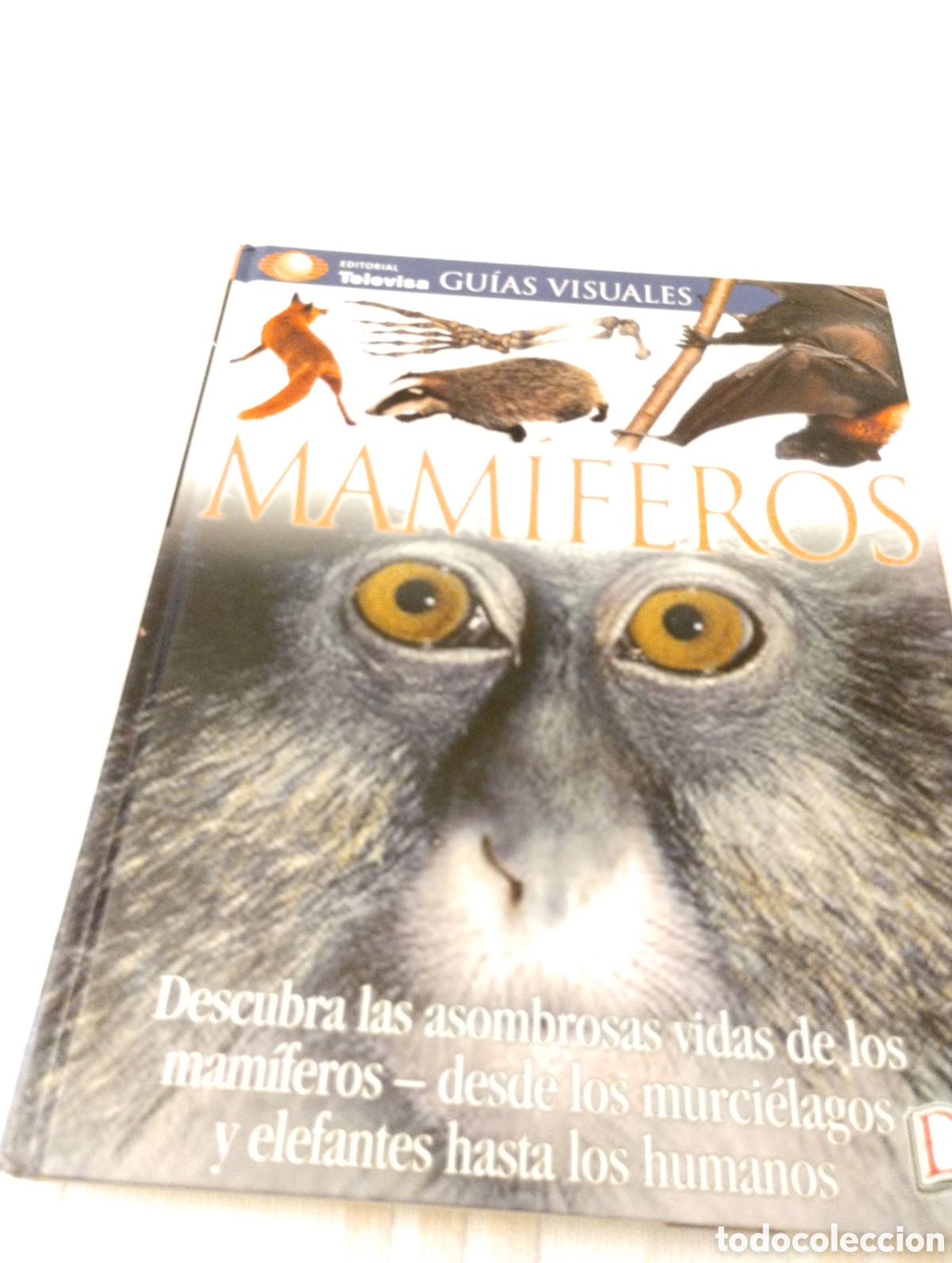 Libros de segunda mano: Vida de los animales .Editorial Televisa - Foto 1