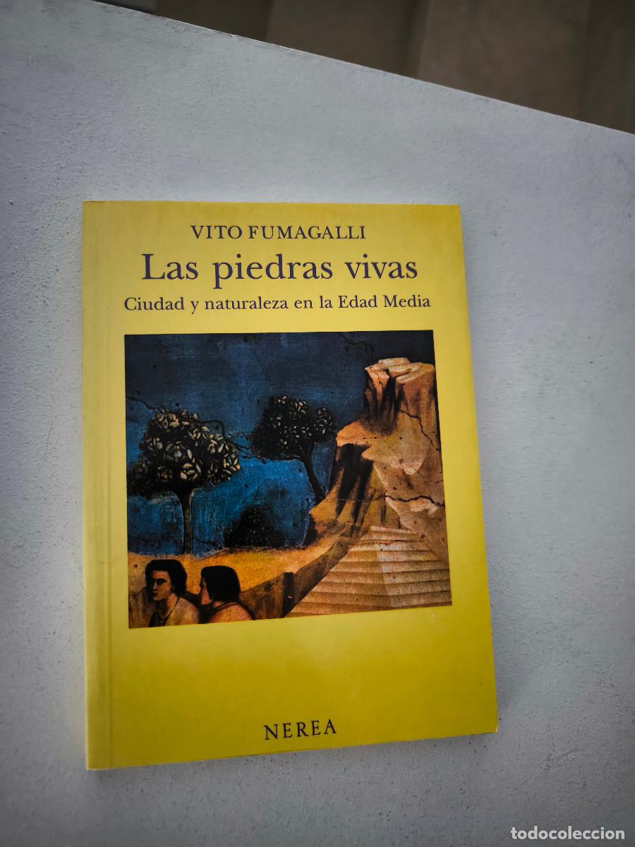 Libros de segunda mano: LAS PIEDRAS VIVAS CIUDAD Y NATURALEZA EN LA EDAD MEDIA VITO FUMAGALLI
