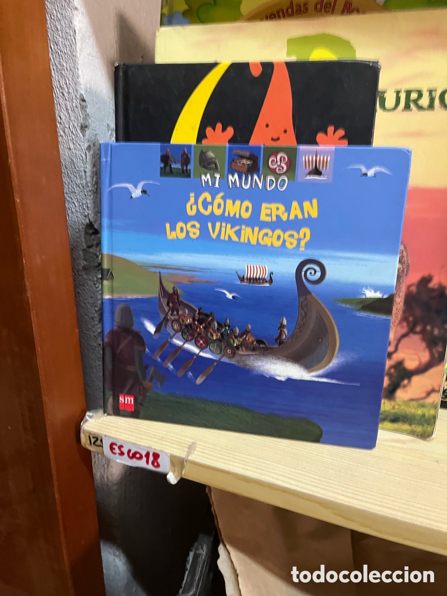 Libros de segunda mano: Esco18 MI MUNDO &iquest;C&oacute;Mo ERAN LOS VIKiNGOS? Sm