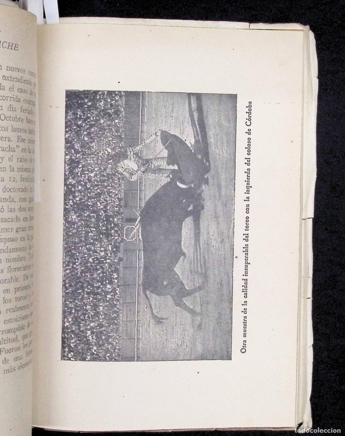 Libros de segunda mano: GLORIA Y TRAGEDIA DE MANOLETE. - GUZM&Aacute;N DE ALFARACHE. - Foto 4