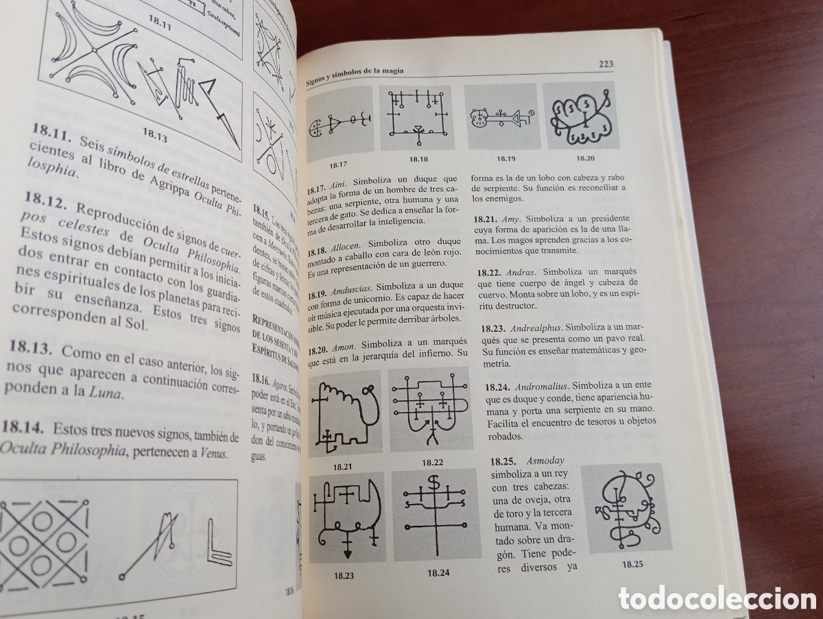 Libros de segunda mano: ENCICLOPEDIA DE LOS S&Iacute;MBOLOS ESOT&Eacute;RICOS. Jorge Blaschke. - Foto 7
