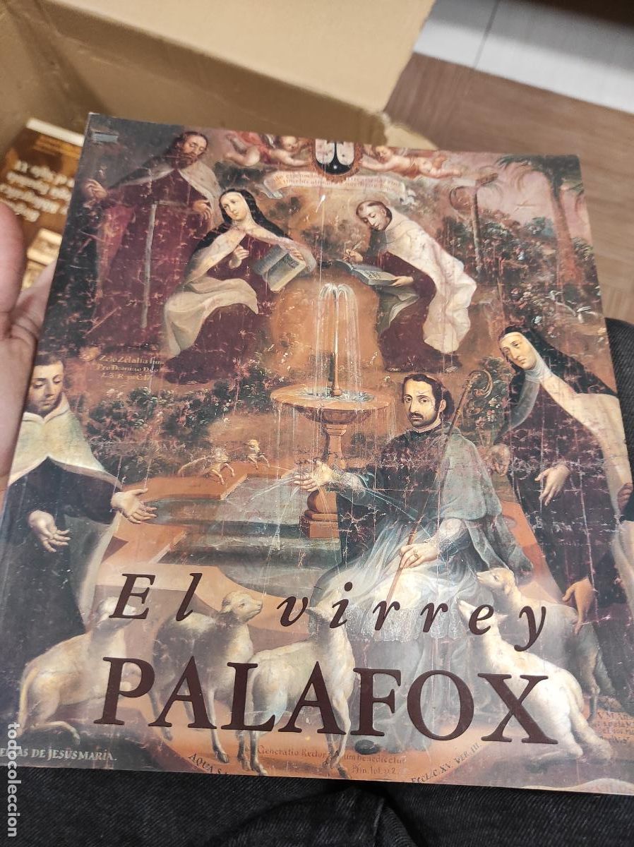Libros de segunda mano: EL VIRREY PALAFOX. ILUSTRADO - Foto 1