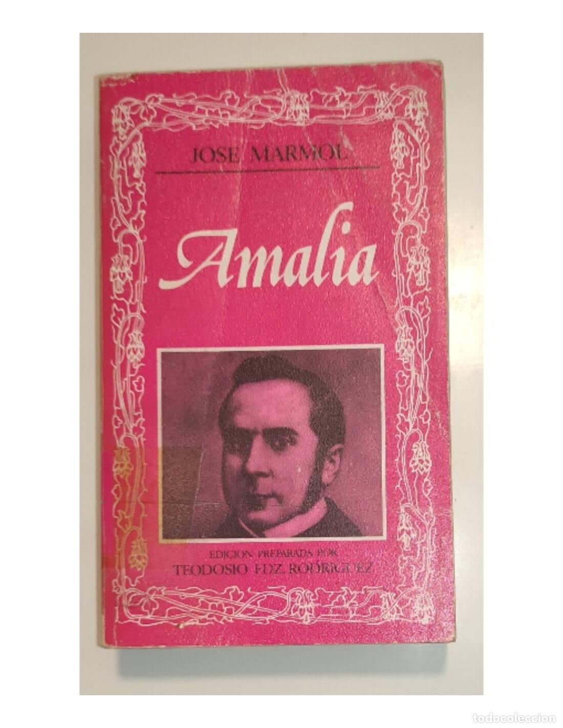 Libros de segunda mano: AMALIA. MARMOL, Jos&eacute;. Editoria nacional. 1984. - Foto 1