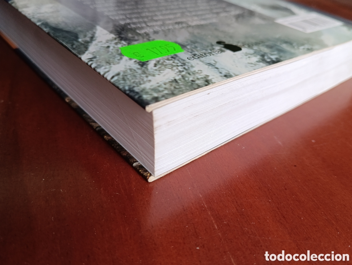 Libros de segunda mano: LA VIDA DE LOS MAESTROS. BAIRD T. SPALDING. SIRIO - Foto 9