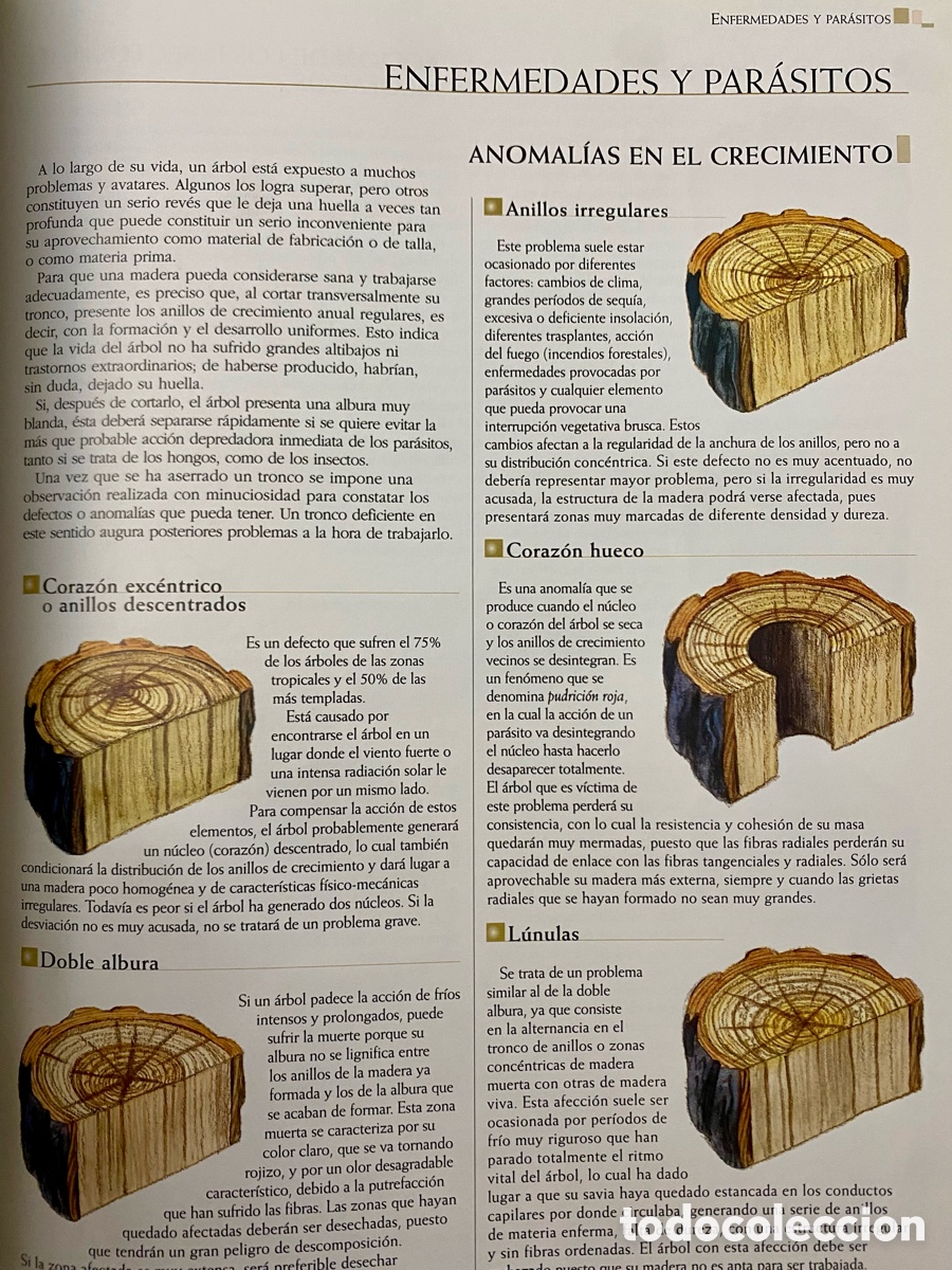 Libros de segunda mano: GUIA PRACTICA DE LA MADERA. MUEBLES. CARPINTERIA. HERRAMIENTAS. - Foto 6
