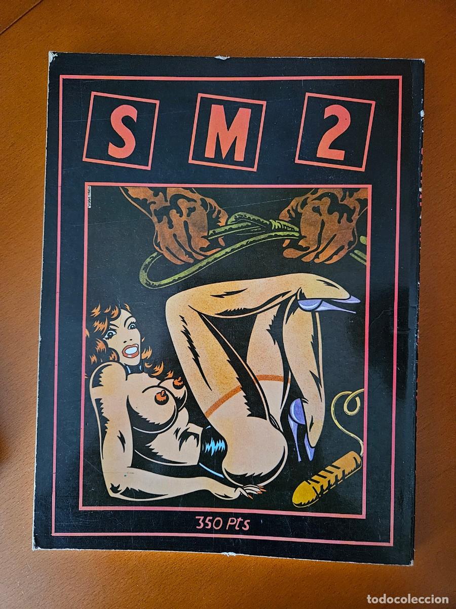 Libros de segunda mano: Luis Vigil: Antologia del Sadomasoquismo SM2 - 1978 - Foto 2
