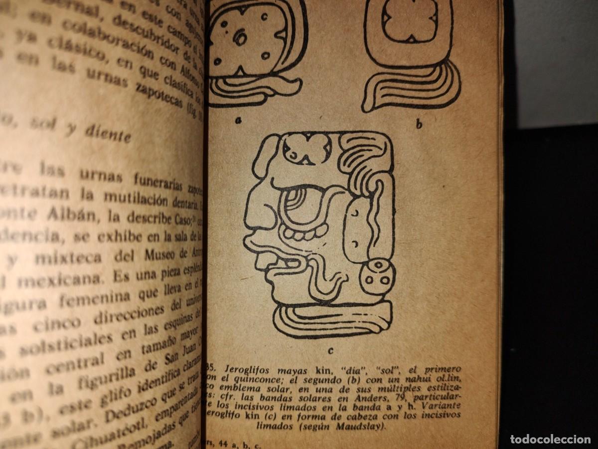 Libros de segunda mano: 125- MAGIA Y PODER OCULTO DE LOS DIENTES - GUTIERRE TIB&Oacute;N - EDITORIAL POSADA 1975 - Foto 9