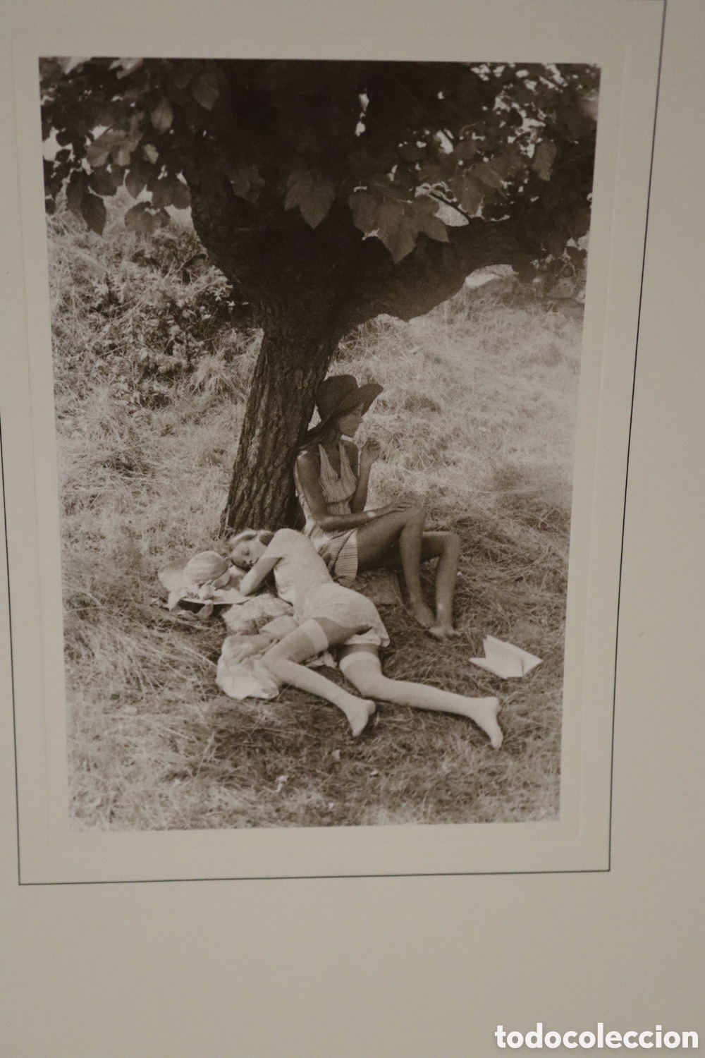 Libros de segunda mano: David Hamilton ,,,,,,,,,,,,,,,,,,,,,,, - Foto 3