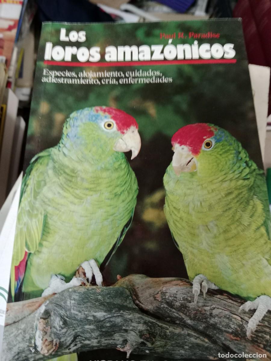 Libros de segunda mano: TOP-16 LIBRO LOS LOROS AMAZ&Oacute;NICOS PAUL R. PARADISE - Foto 1