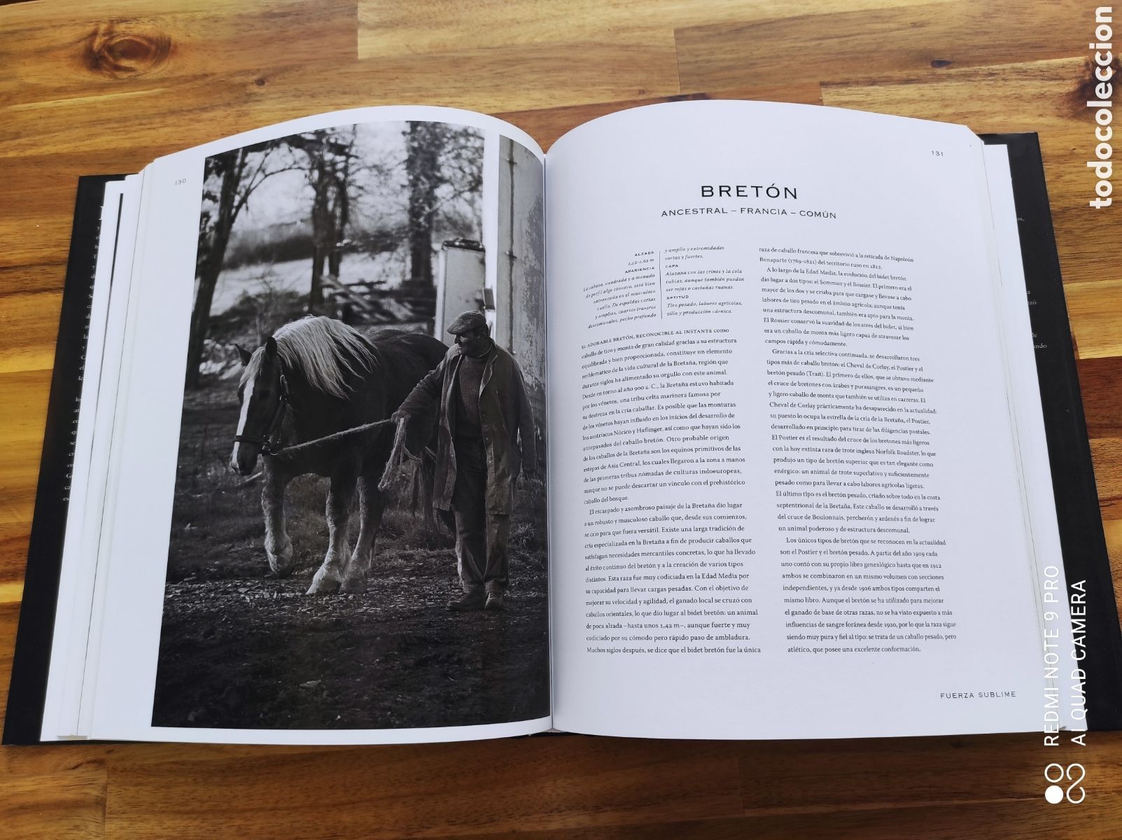 Libros de segunda mano: Libro El caballo Esplendor y nobleza - Foto 4