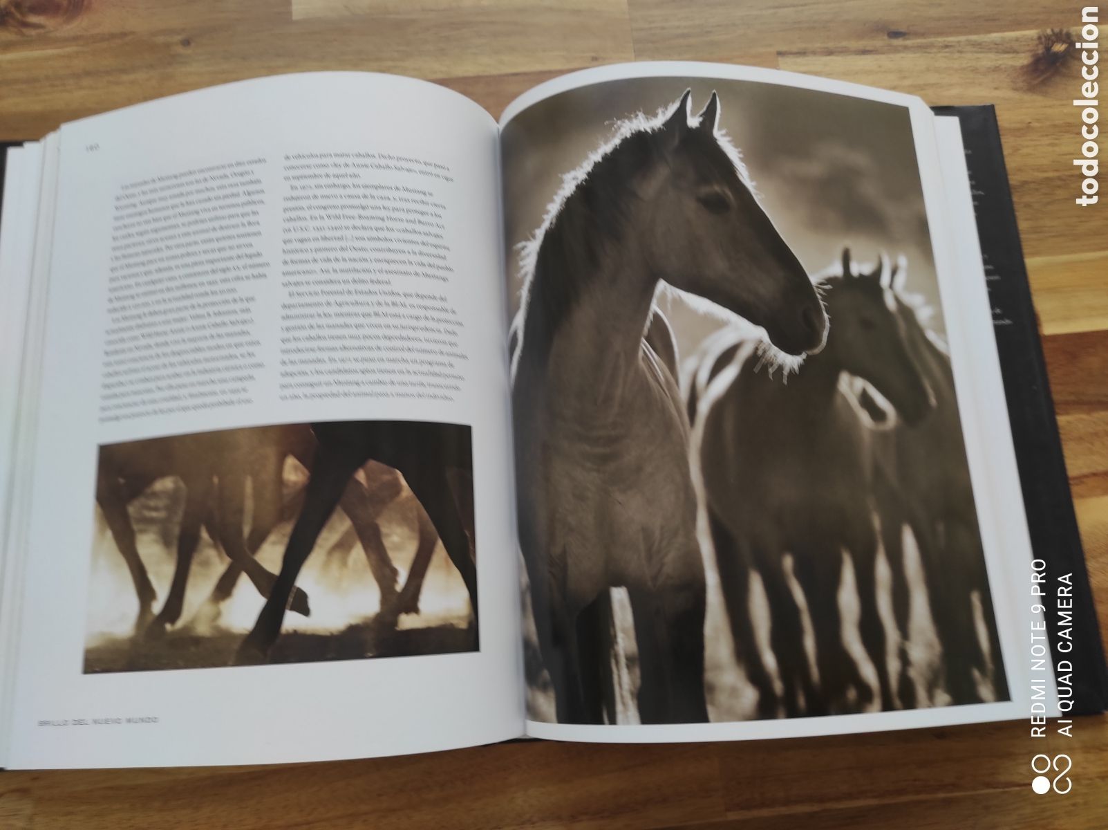 Libros de segunda mano: Libro El caballo Esplendor y nobleza - Foto 5