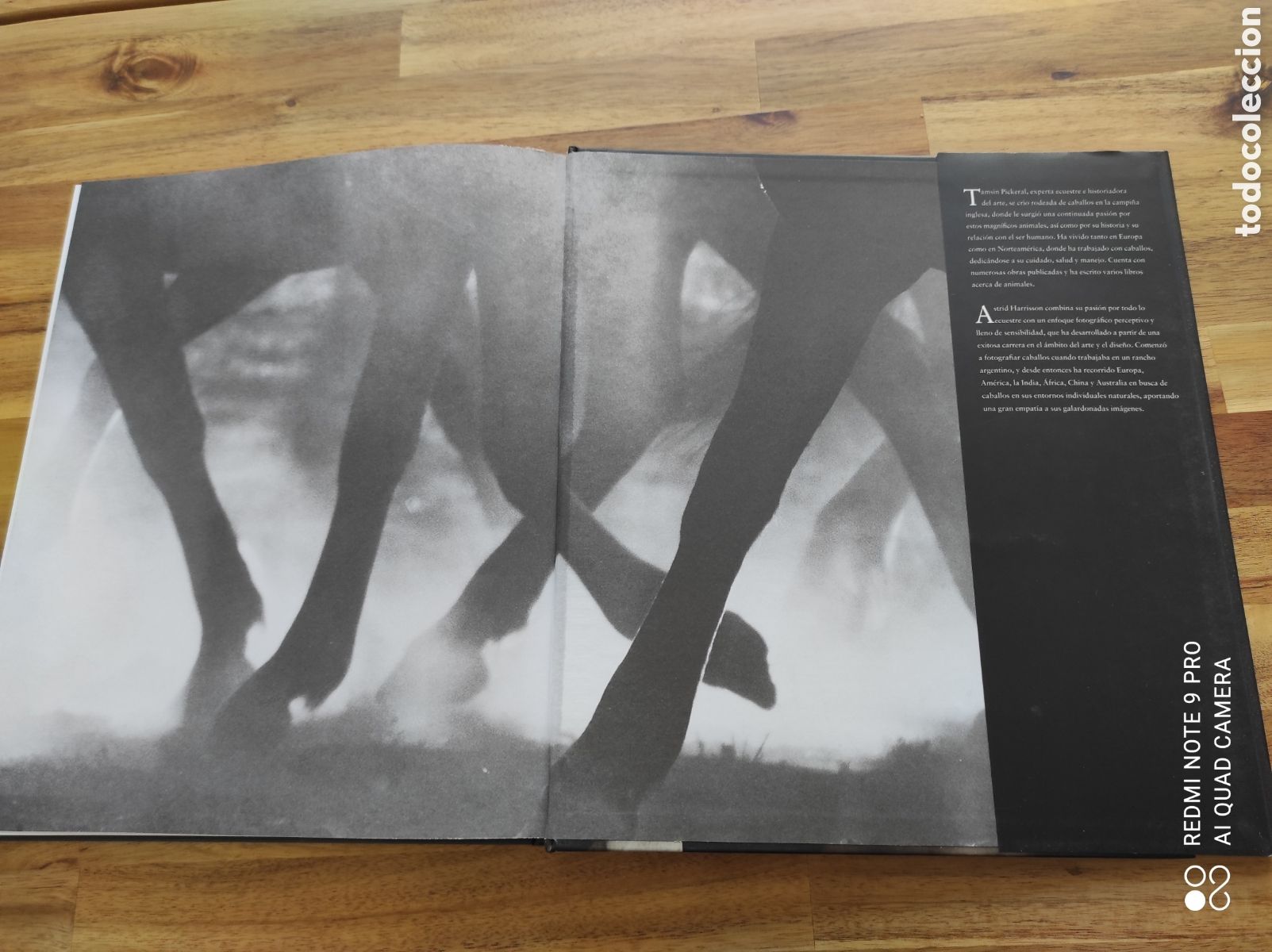 Libros de segunda mano: Libro El caballo Esplendor y nobleza - Foto 6