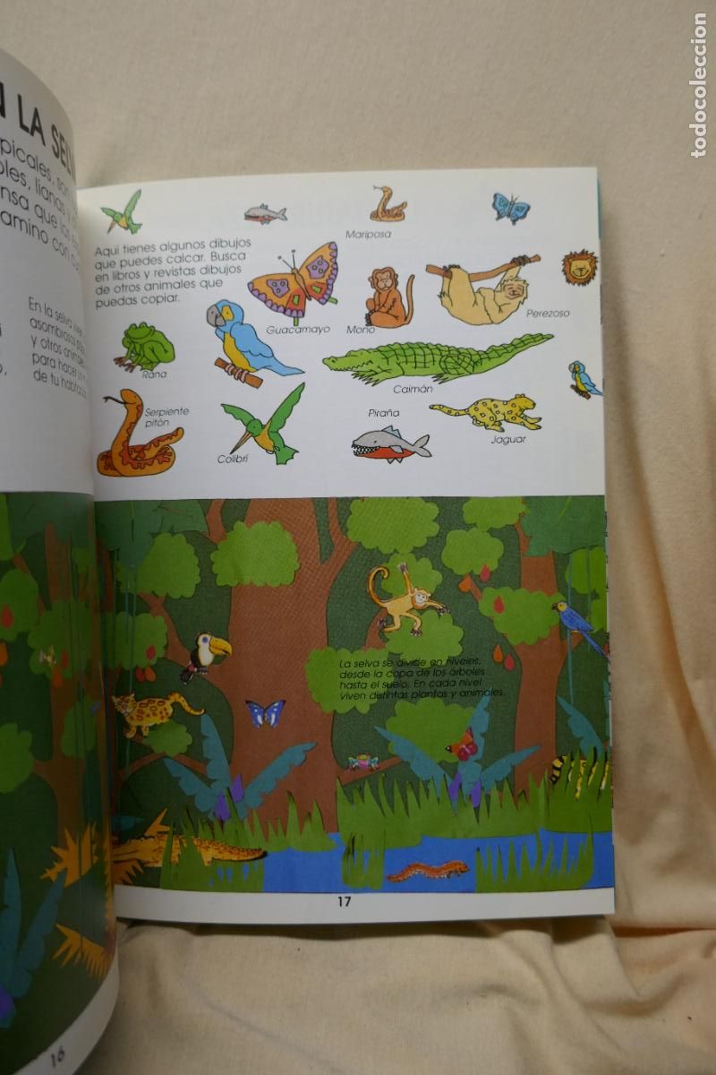 Libros de segunda mano: C&Oacute;MO SER EXPLORADOR. - SONGHURST, Hazel. WRIGHT, Robin. - Foto 11