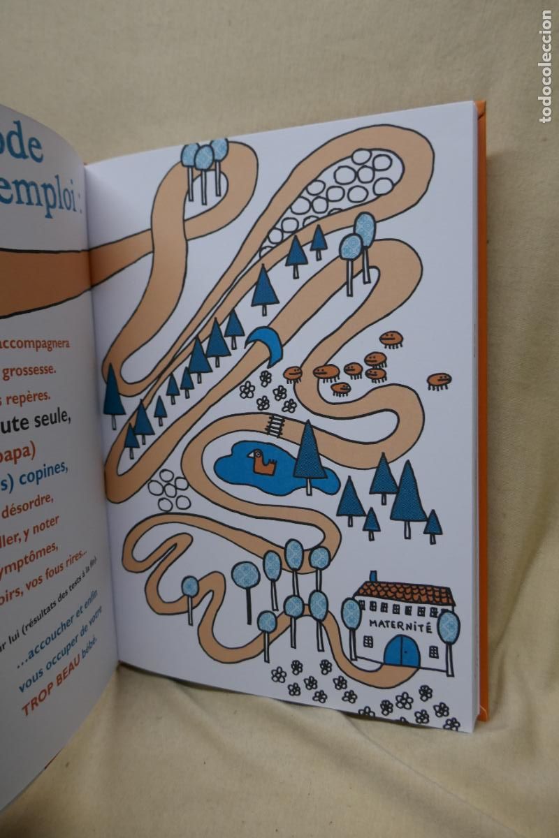 Libros de segunda mano: ENCEINTE - ELEONORE ZUBER (EN FRANC&Eacute;S) COMO NUEVO - Foto 6