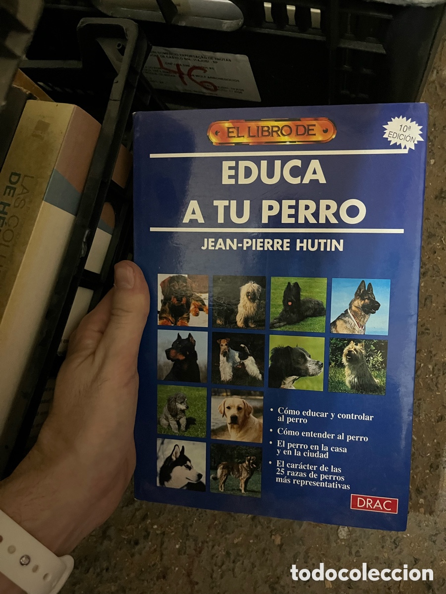 Libros de segunda mano: Caja46 EDUCA A TU PERRO JEAN-PIERRE HUTIN - Foto 1