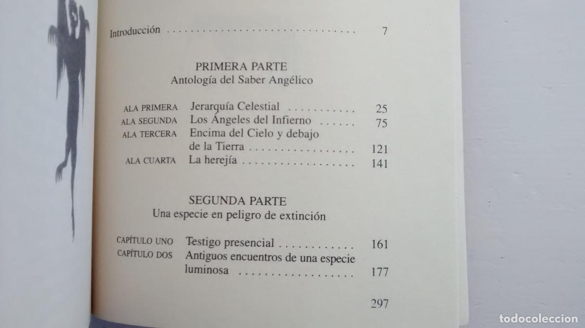 Libros de segunda mano: &Aacute;ngeles protectores - Malcolm Godwin - Foto 4