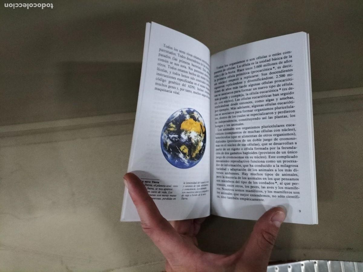 Libros de segunda mano: Los derechos de los animales. Jes&uacute;s Moster&iacute;n. Debate - Foto 3