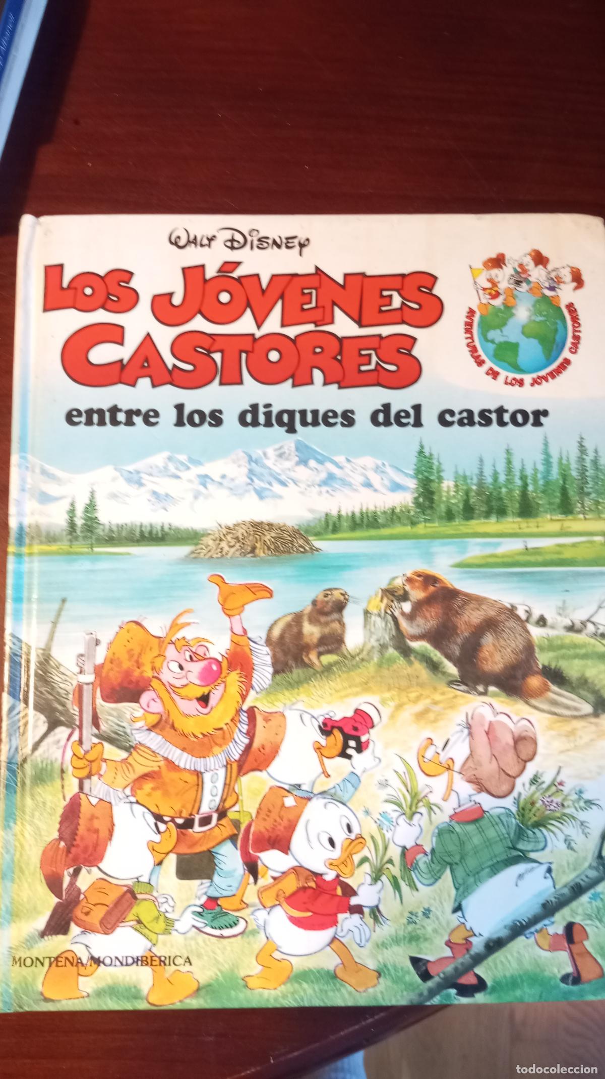 Libros de segunda mano: LOS JOVENES CASTORES - Foto 1