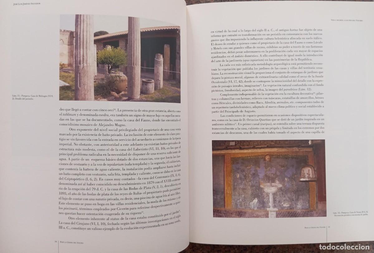 Libros de segunda mano: BAJO LA COLERA DEL VESUBIO - Foto 2