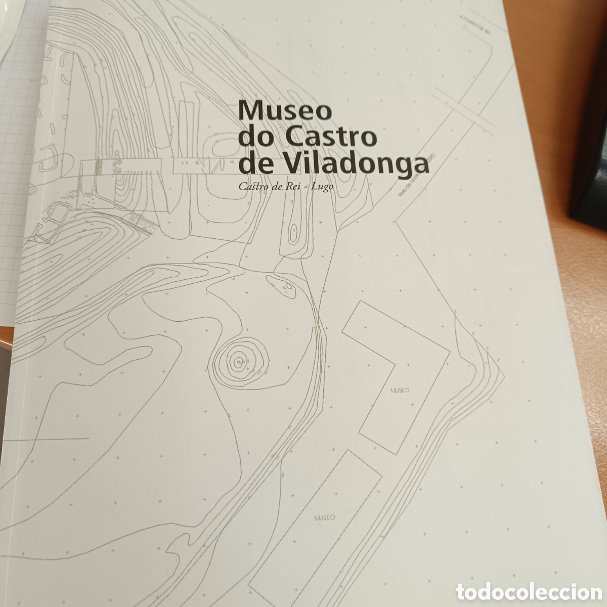 Libros de segunda mano: Museo do Castro de Viladonga (Castro de Rei, Lugo) - Foto 1