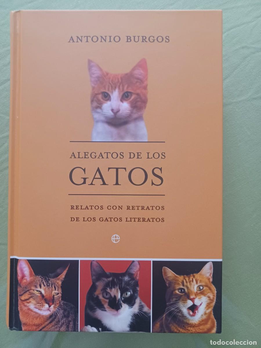Libros de segunda mano: ANTONIO BURGOS - ALEGATOS DE LOS GATOS . - Foto 1