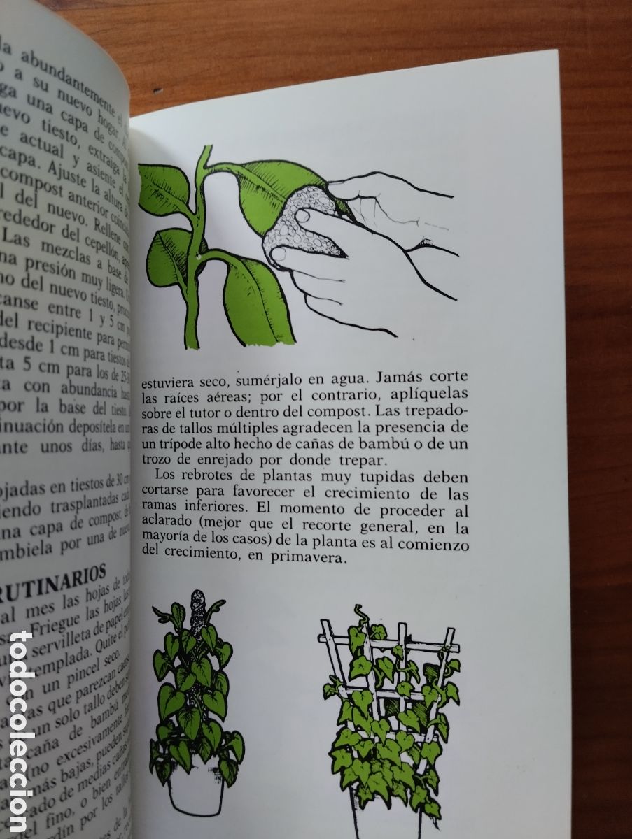 Libros de segunda mano: Gu&iacute;a del jardinero en casa.- Titchmarsh, Alan - Foto 2