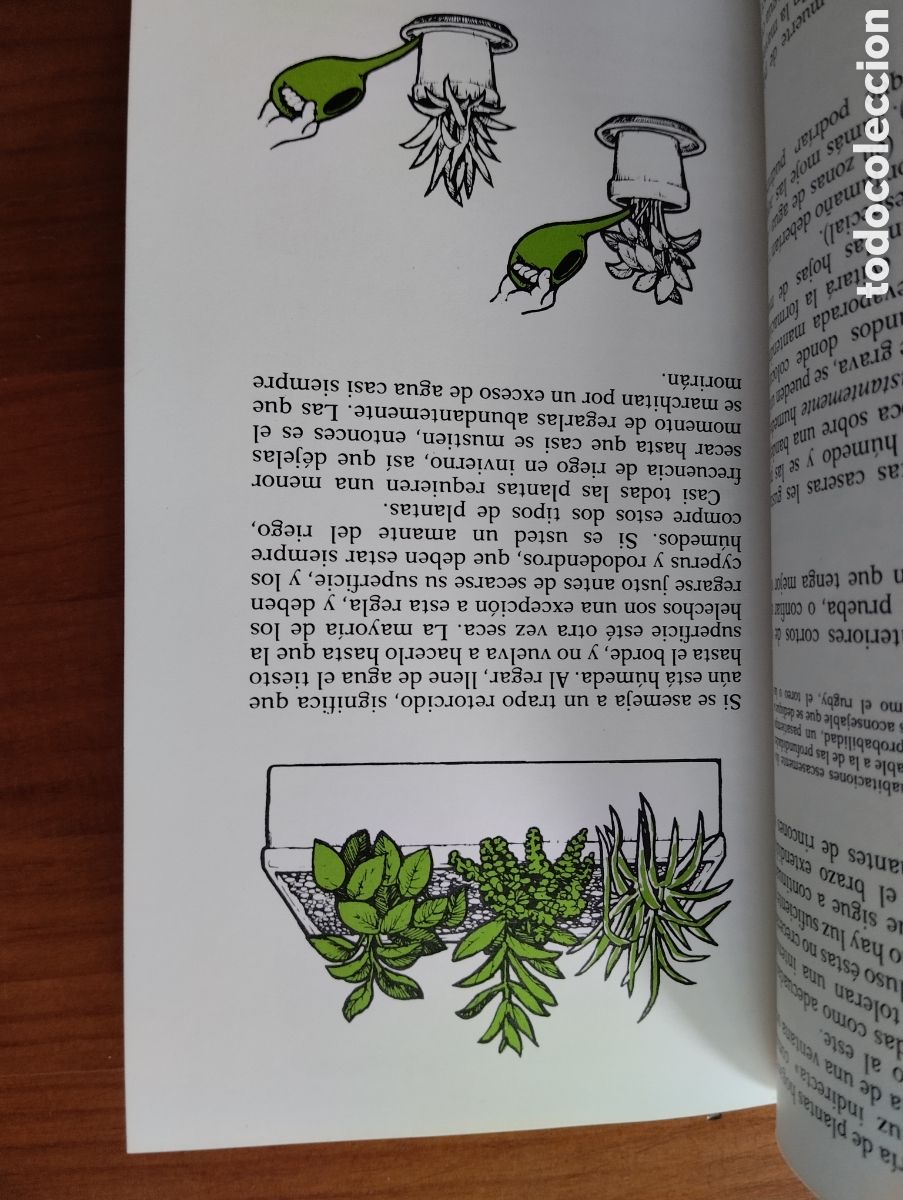 Libros de segunda mano: Gu&iacute;a del jardinero en casa.- Titchmarsh, Alan - Foto 4