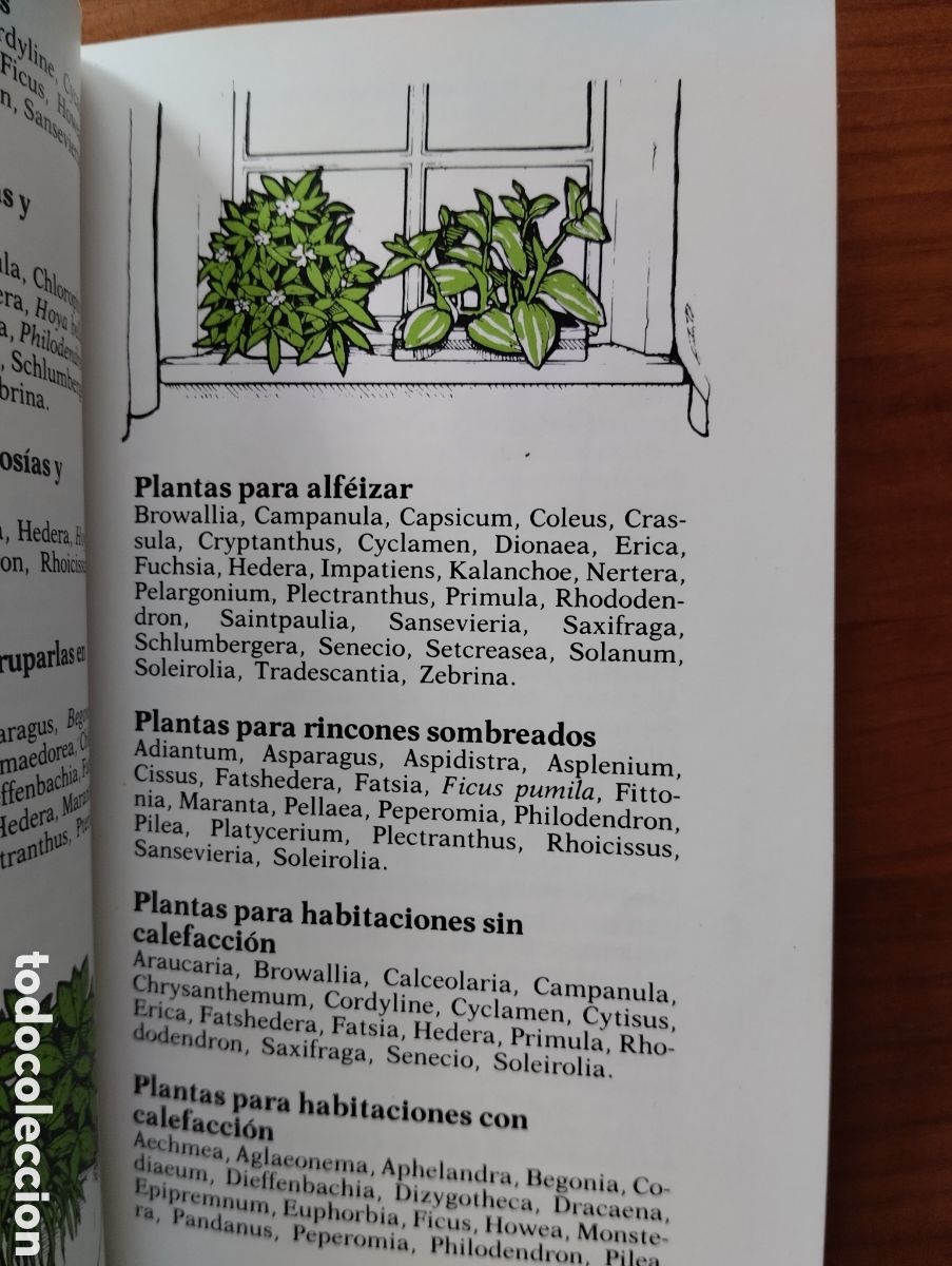 Libros de segunda mano: Gu&iacute;a del jardinero en casa.- Titchmarsh, Alan - Foto 5