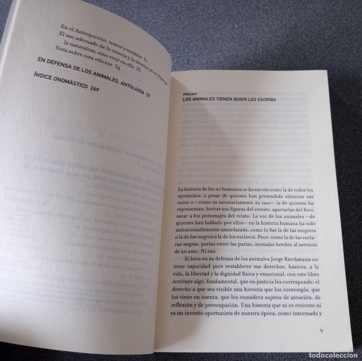 Libros de segunda mano: En Defensa De Los Animales Jorge Riechmann - Foto 5