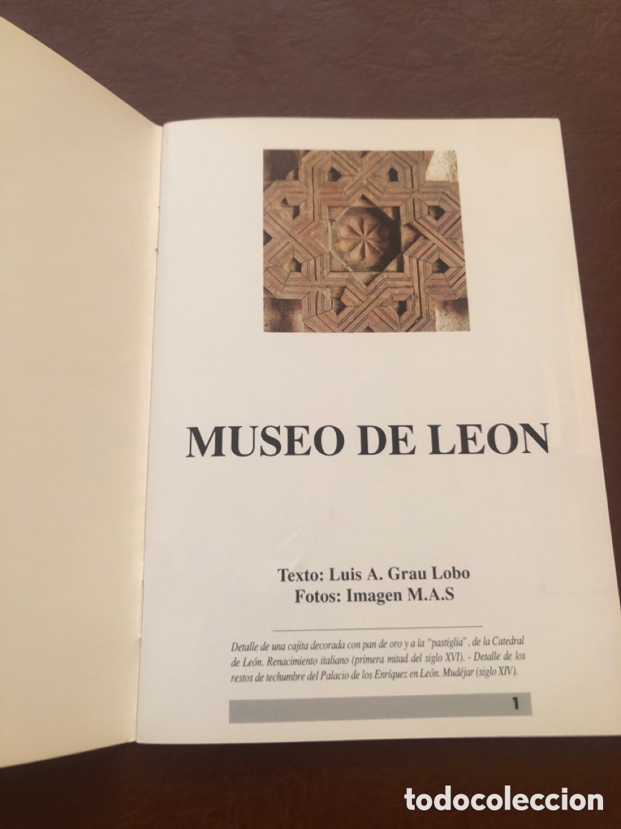 Libros de segunda mano: MUSEO DE LE&Oacute;N - Luis Grau Lobo e Imagen M&Aacute;S. ASM - Foto 2
