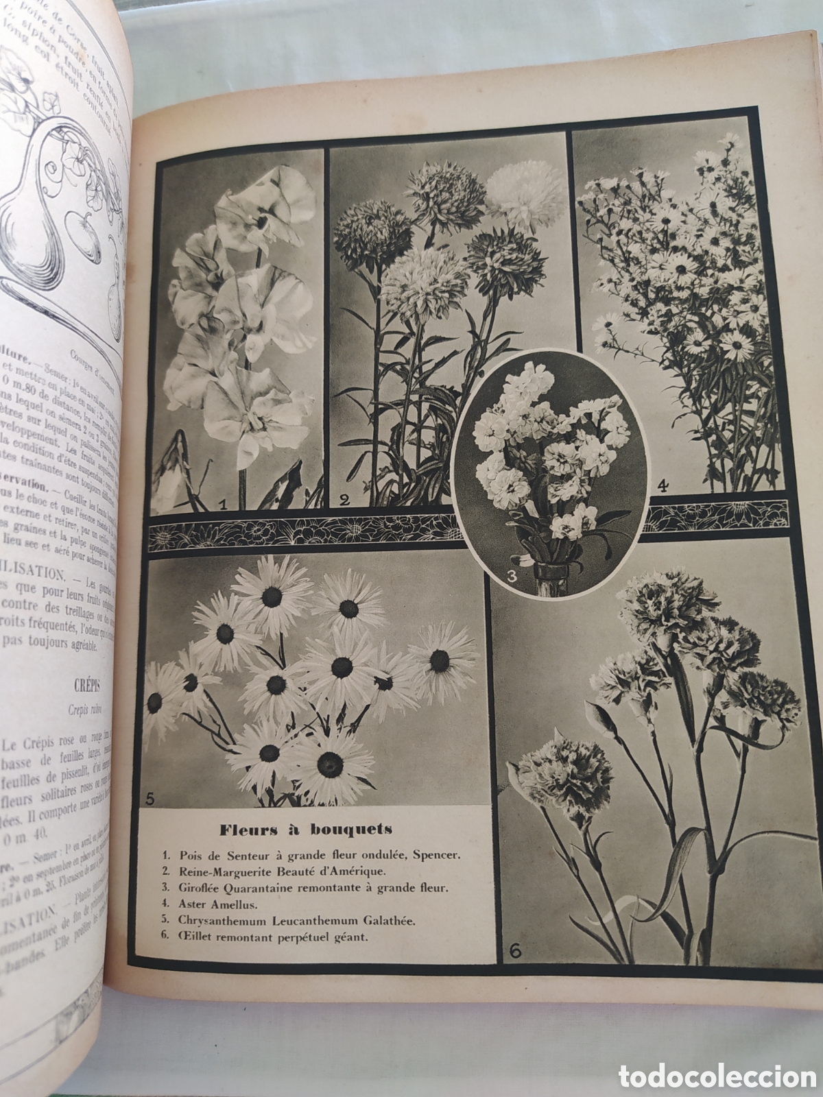 Libros de segunda mano: GUIDE CLAUSE - TRAITE DES TRAVAUX DU JARDINAGE - Foto 4