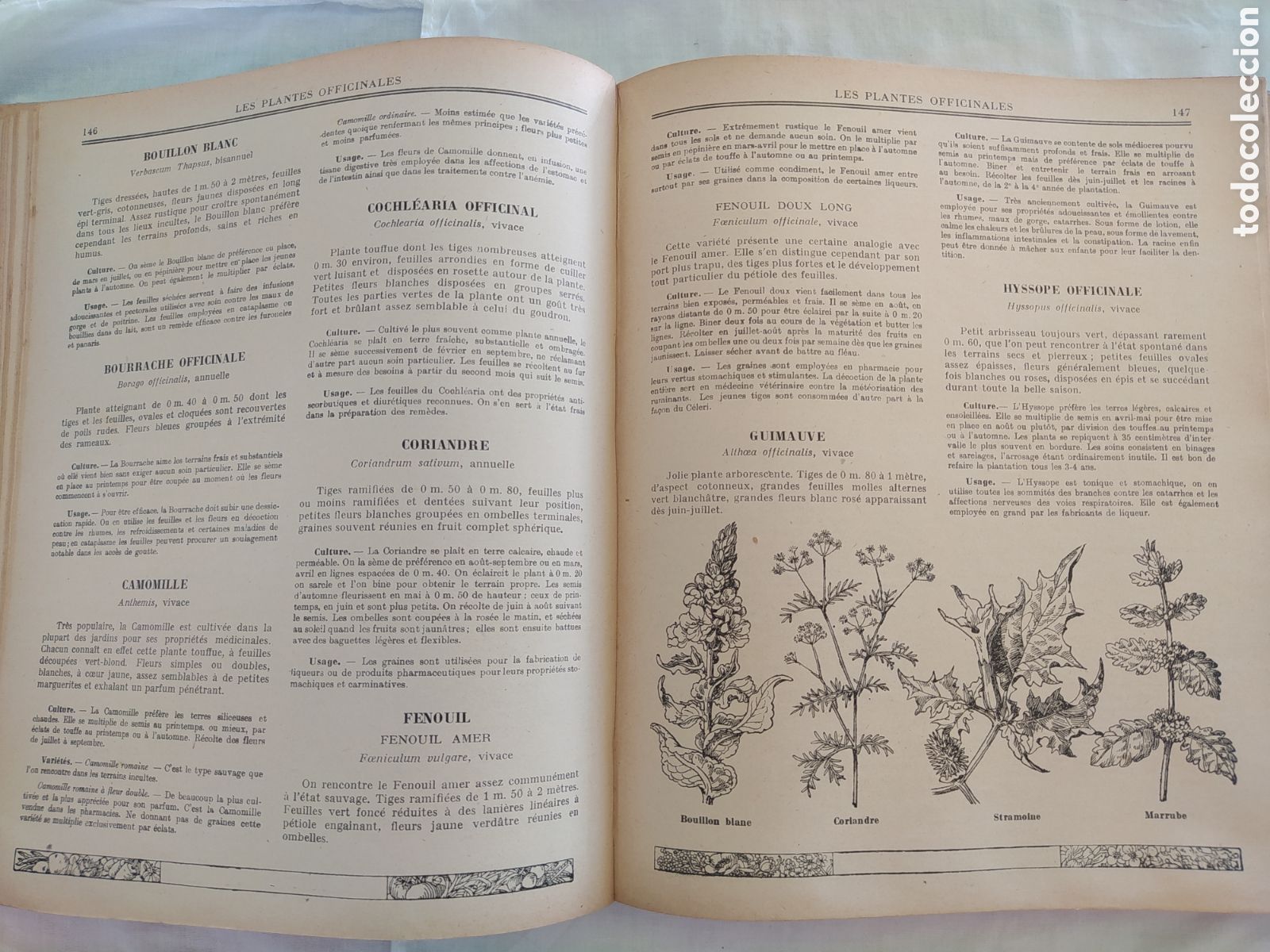 Libros de segunda mano: GUIDE CLAUSE - TRAITE DES TRAVAUX DU JARDINAGE - Foto 6