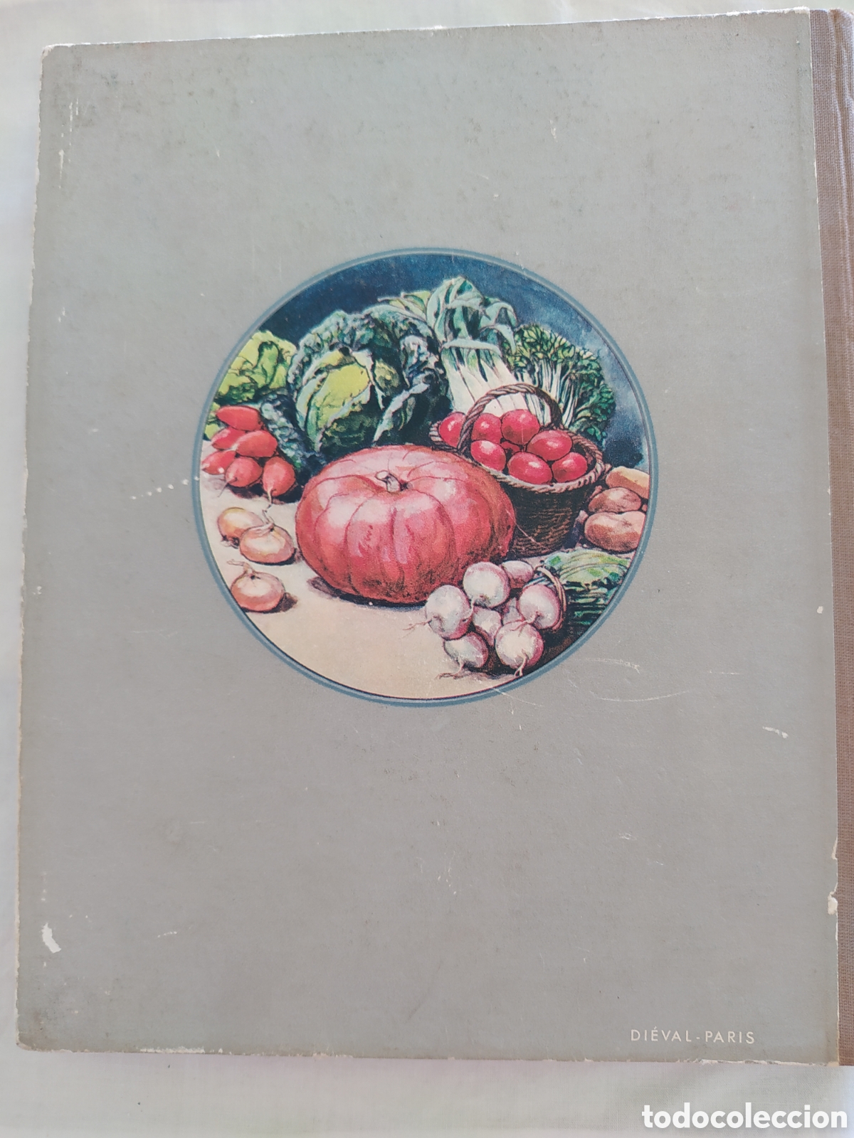Libros de segunda mano: GUIDE CLAUSE - TRAITE DES TRAVAUX DU JARDINAGE - Foto 8