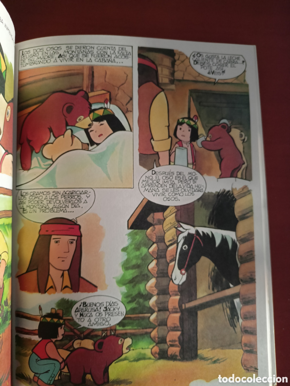Libros de segunda mano: Jacky. El bosque de Tallac. Jaimes libros. - Foto 5