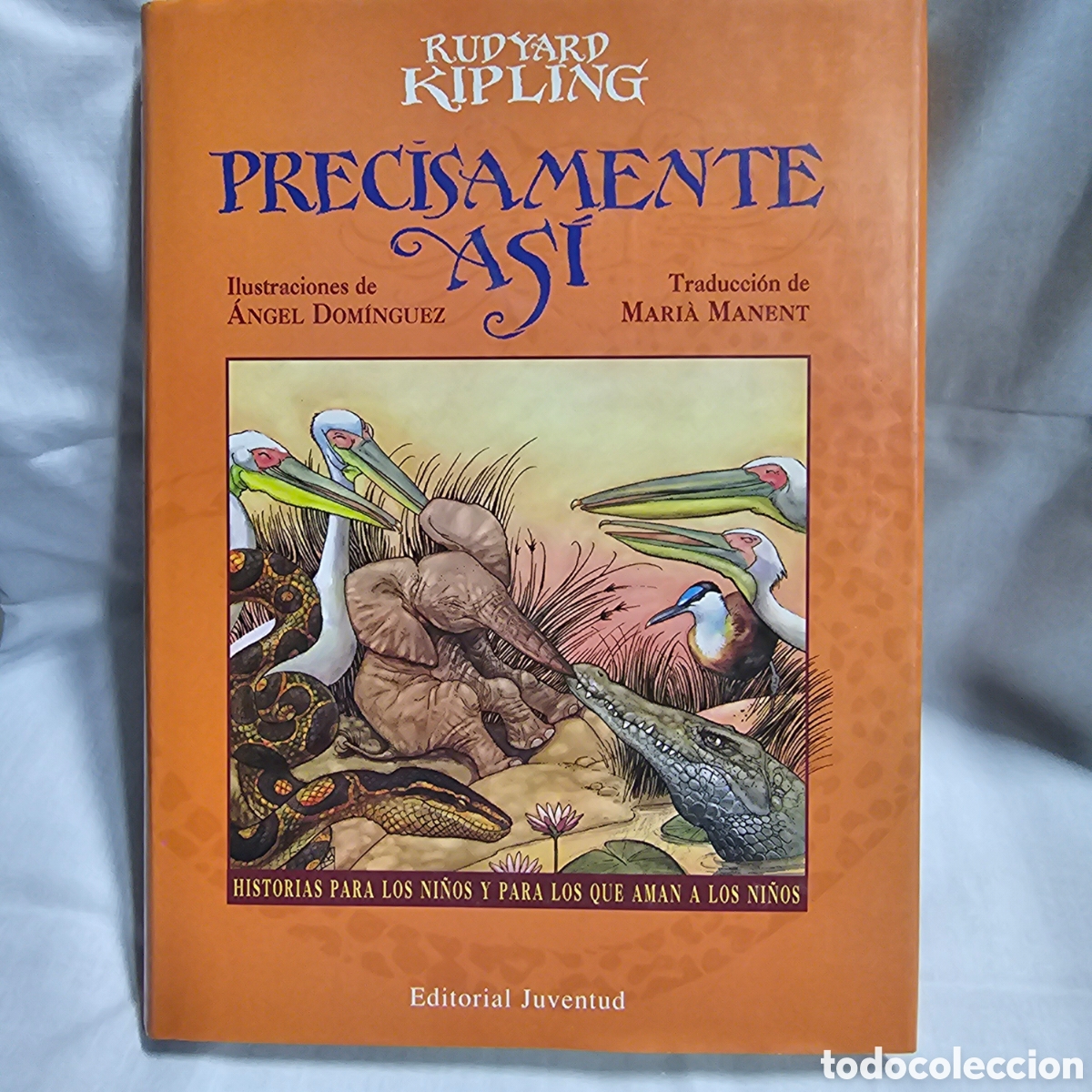 Libros de segunda mano: PRECISAMENTE ASI, RUDYARD KIPLING, EDITORIAL JUVENTUD 2000 - Foto 1