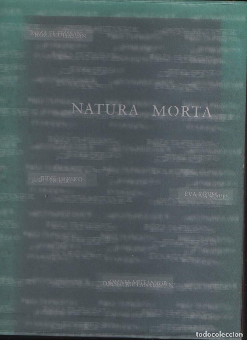 Libros de segunda mano: Natura Morta. BV 97: XLVII Esposizione Internazionale d`Arte, La Biennale di Venezia 1997