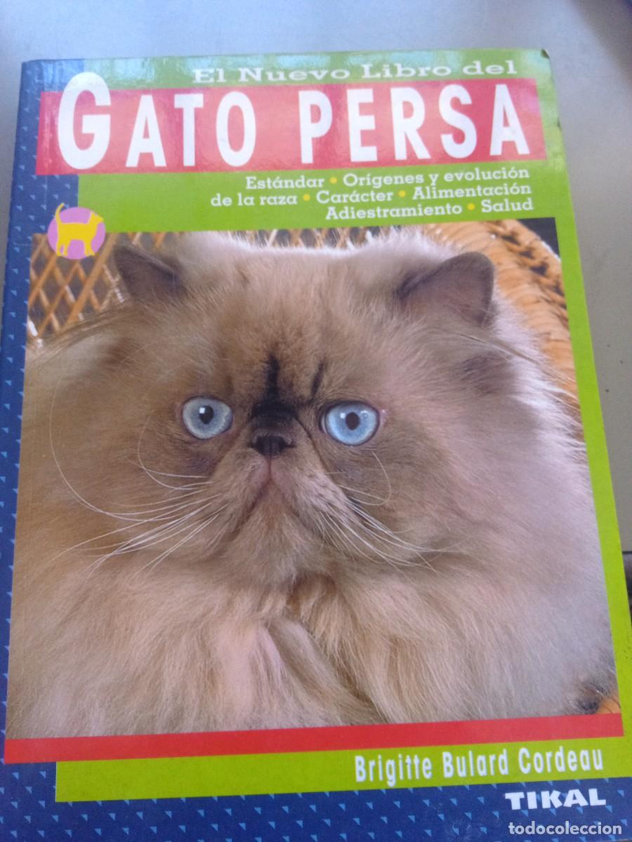 Libros de segunda mano: Gato persa. Tikal. Brigitte Bulard Cordeau - Foto 1
