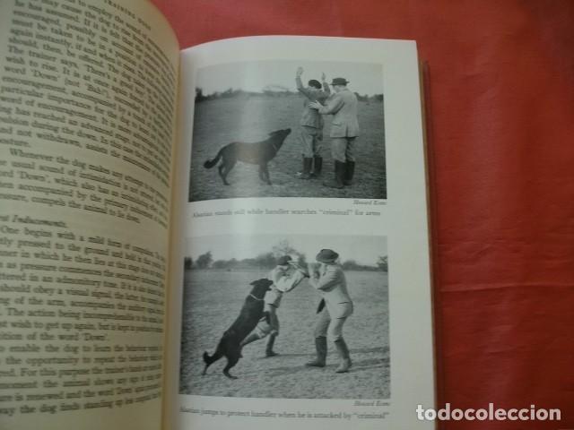 Libros de segunda mano: MANUAL DE ADIESTRAMIENTO DE PERROS (EN INGL&Eacute;S) - COLONEL KONRAD MOST - Foto 4