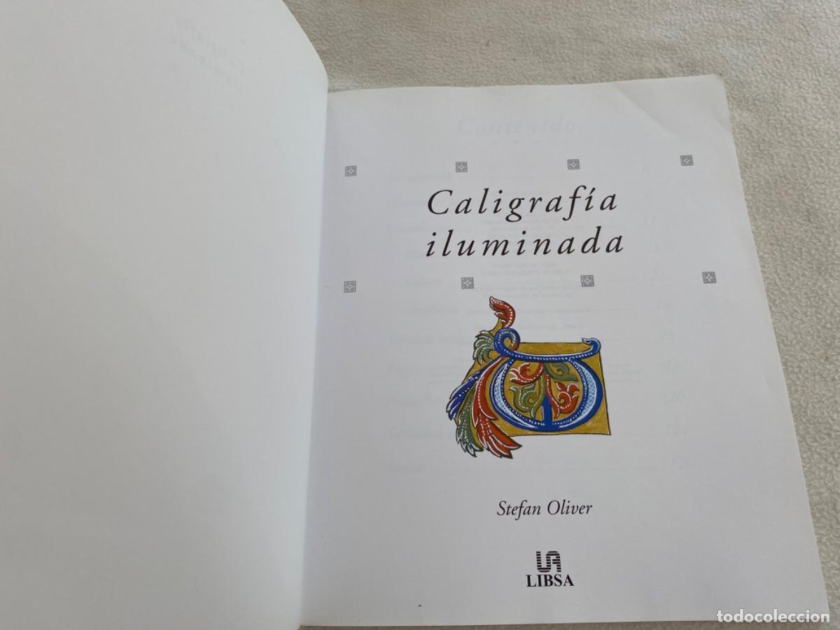 Libros de segunda mano: CALIGRAF&Iacute;A ILUMINADA. C&Oacute;MO PINTAR TUS PROPIAS LETRAS ILUMINADAS.- LIBSA - Foto 7