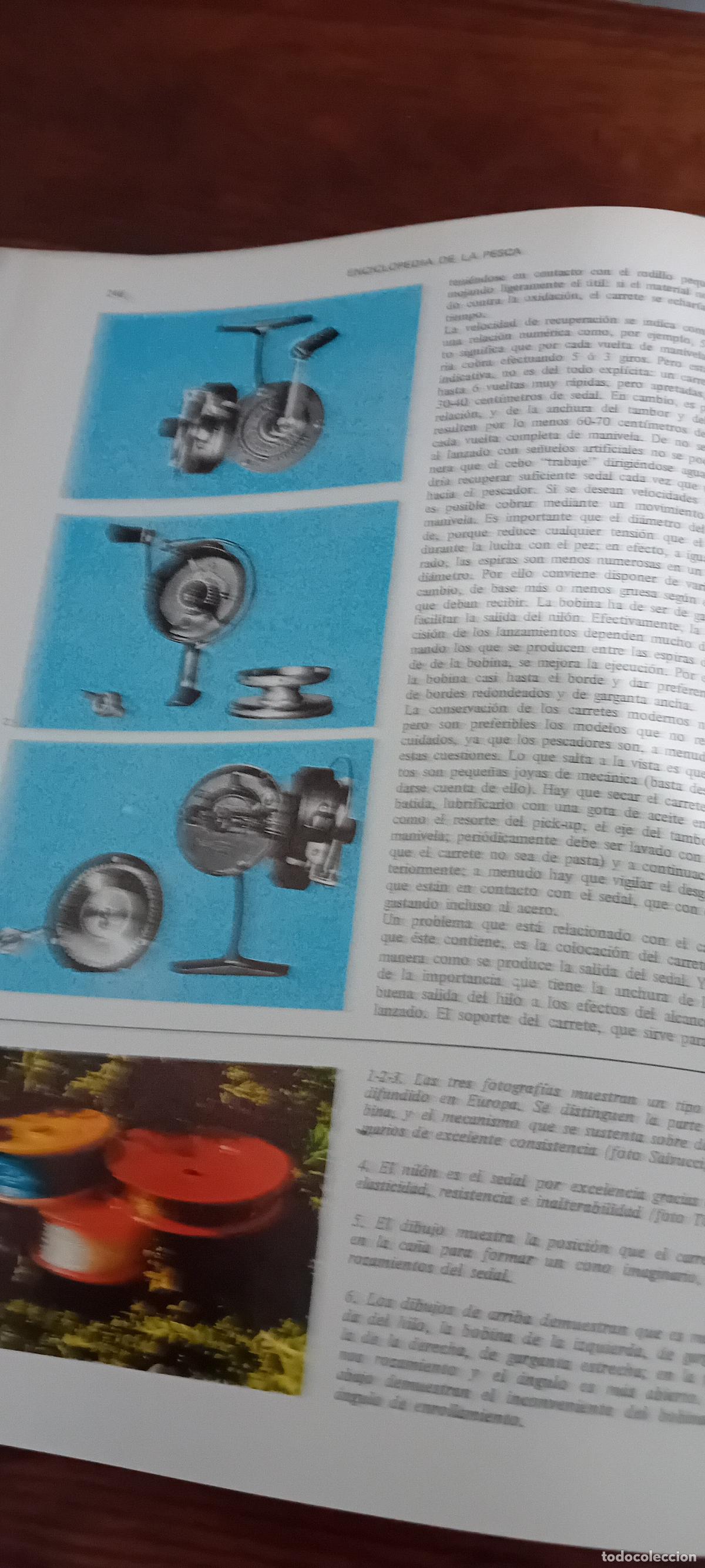 Libros de segunda mano: ENCICLOPEDIA DE LA PESCA EDITORIAL VERGARA - Foto 5