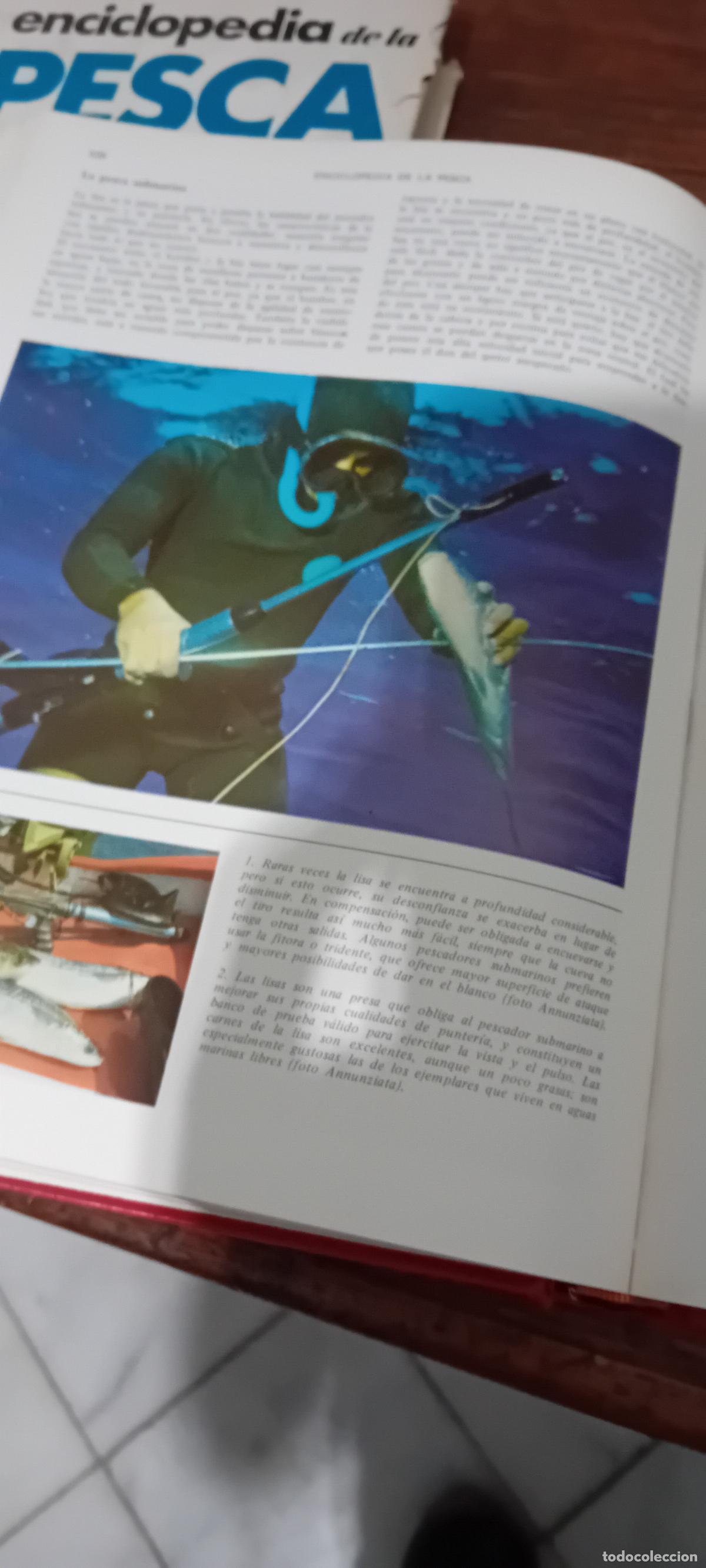Libros de segunda mano: ENCICLOPEDIA DE LA PESCA EDITORIAL VERGARA - Foto 6