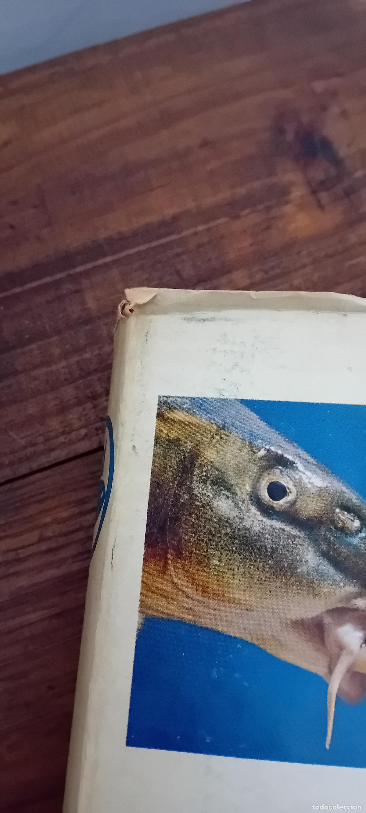 Libros de segunda mano: ENCICLOPEDIA DE LA PESCA EDITORIAL VERGARA - Foto 12