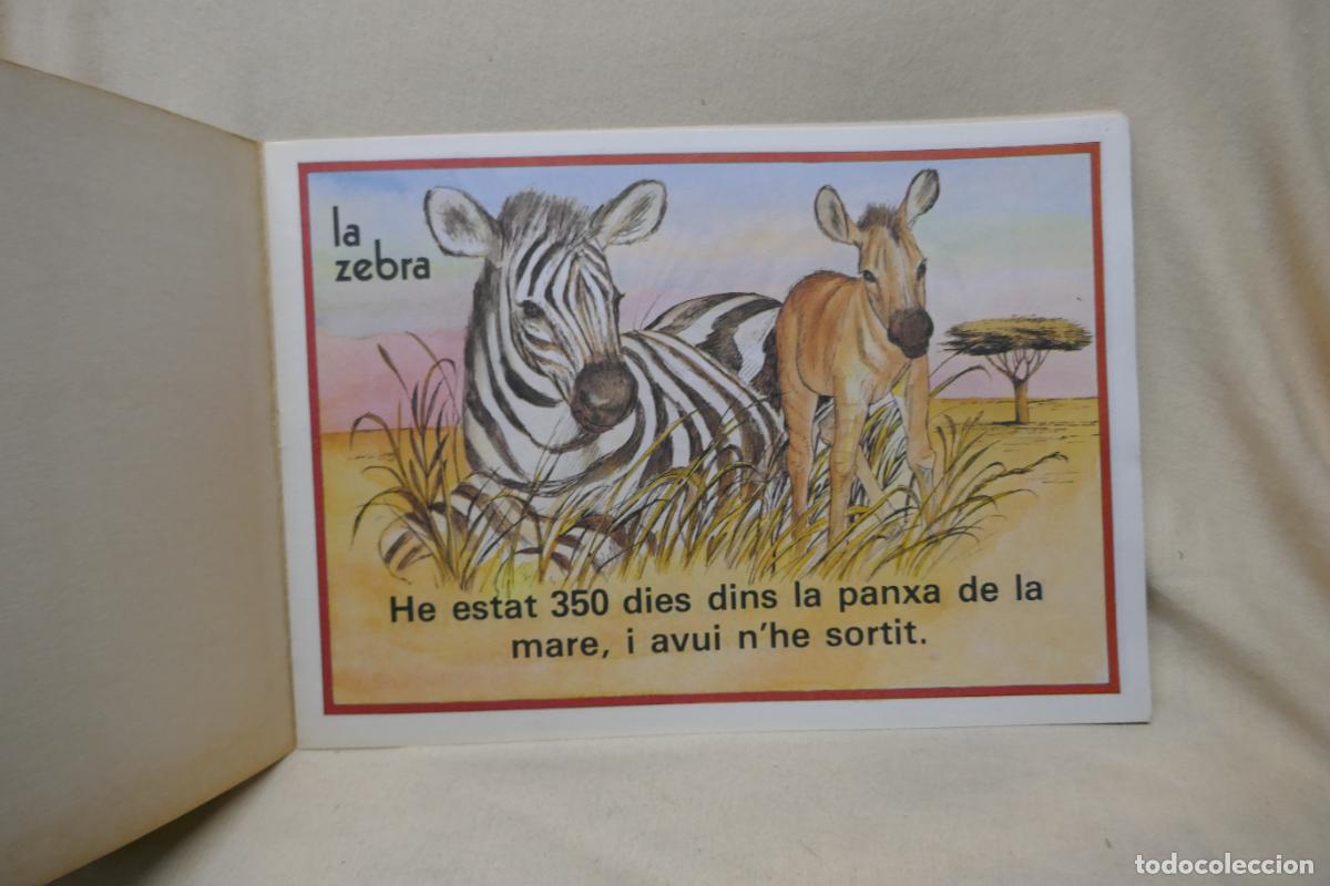 Libros de segunda mano: JO LA ZEBRA - EDITORIAL BRUGUERA - Foto 2