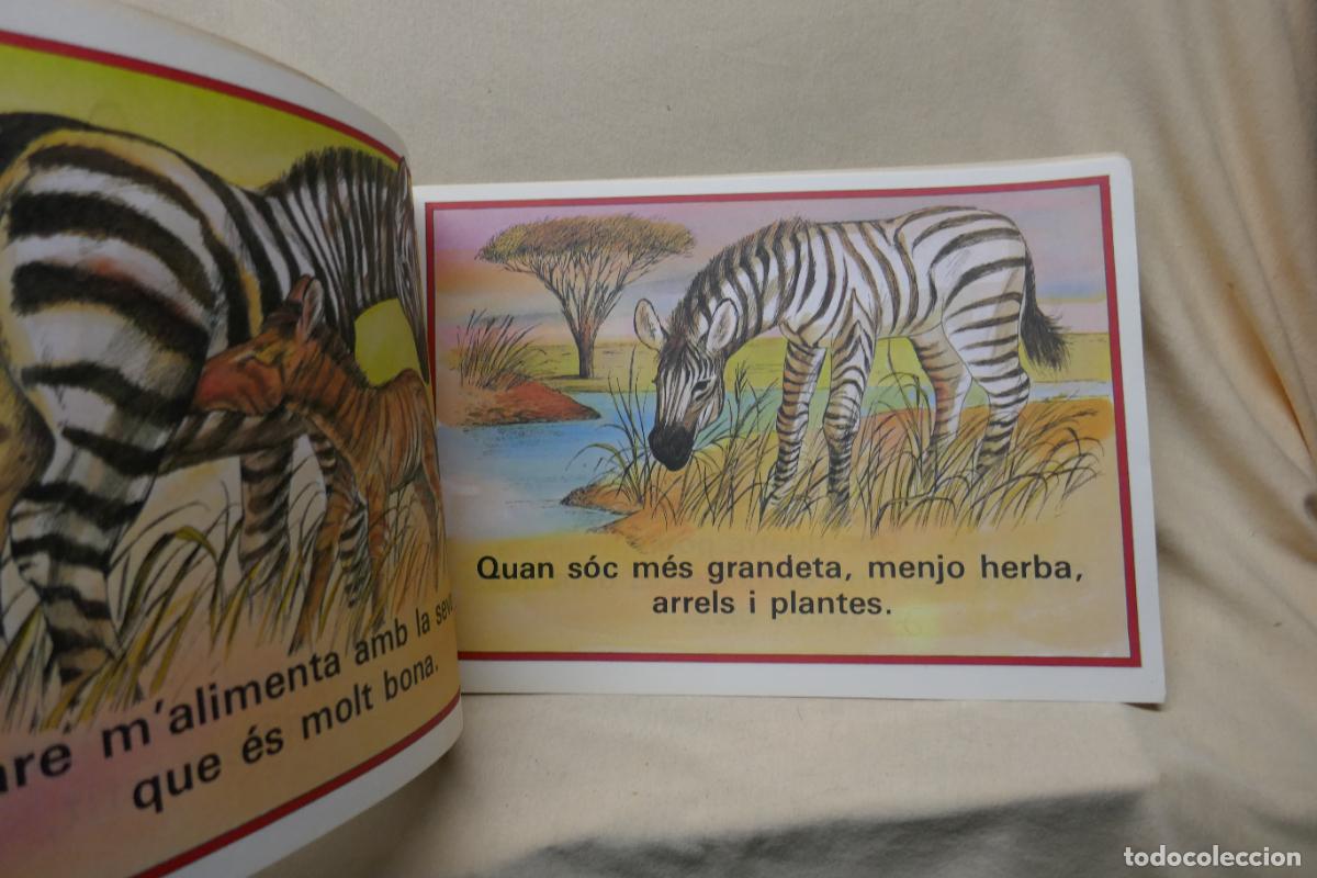 Libros de segunda mano: JO LA ZEBRA - EDITORIAL BRUGUERA - Foto 3