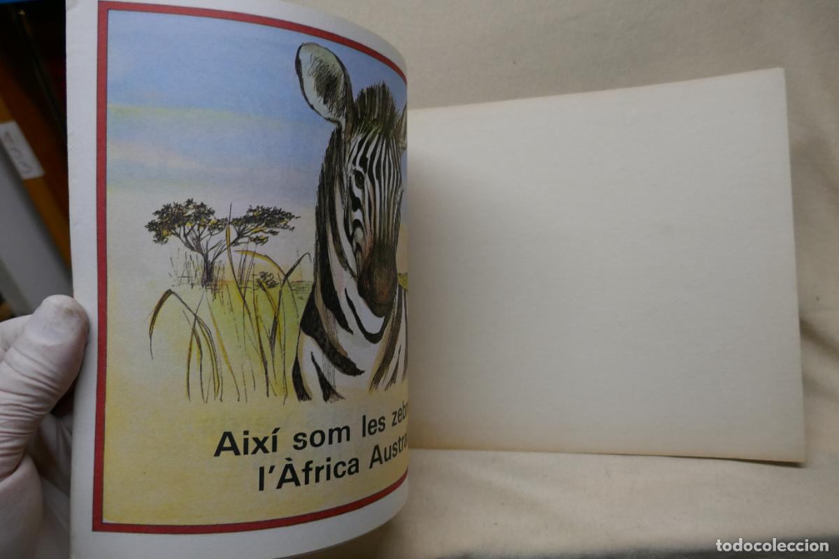 Libros de segunda mano: JO LA ZEBRA - EDITORIAL BRUGUERA - Foto 4